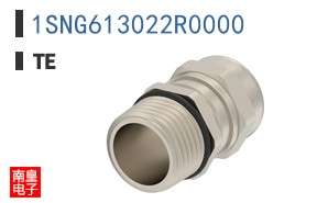 1SNG613022R0000