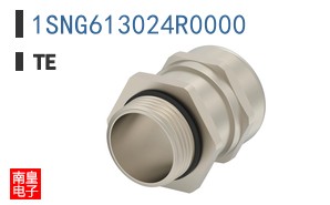 1SNG613024R0000