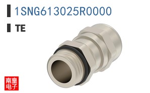 1SNG613025R0000