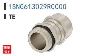 1SNG613029R0000