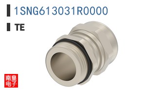 1SNG613031R0000