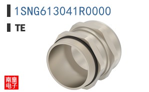 1SNG613041R0000