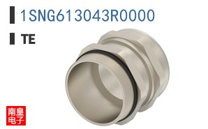 1SNG613043R0000
