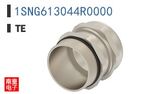 1SNG613044R0000