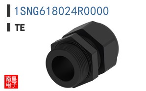 1SNG618024R0000