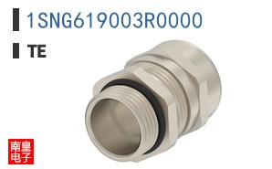 1SNG619003R0000
