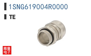 1SNG619004R0000