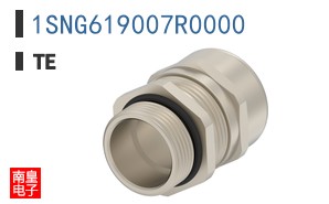 1SNG619007R0000