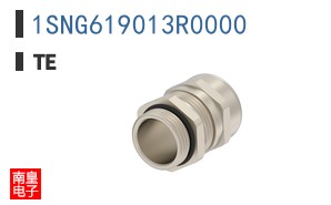 1SNG619013R0000
