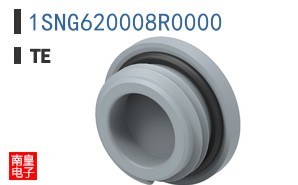 1SNG620008R0000