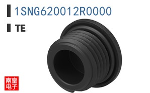 1SNG620012R0000