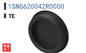 1SNG620042R0000