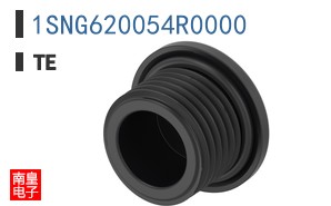 1SNG620054R0000