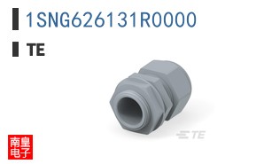 1SNG626131R0000