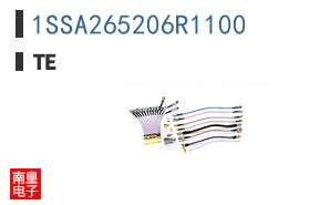 1SSA265206R1100