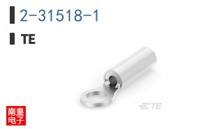 2-31518-1