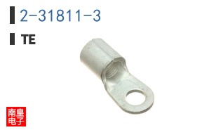 2-31811-3