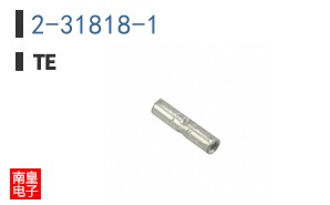 2-31818-1
