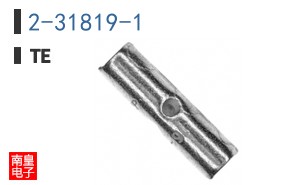 2-31819-1