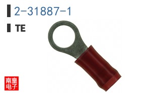 2-31887-1