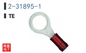 2-31895-1