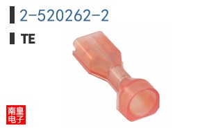 2-520262-2