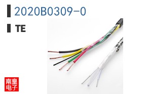 2020B0309-0