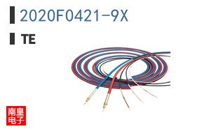 2020F0421-9X