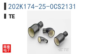 202K174-25-0CS2131