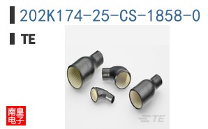 202K174-25-CS-1858-0