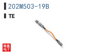 202M503-19B