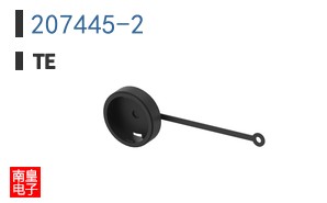 207445-2