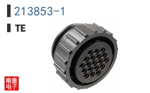 213853-1