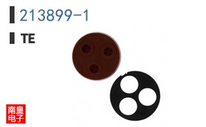 213899-1