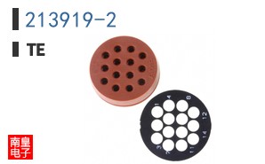 213919-2