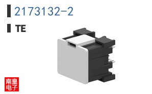 2173132-2