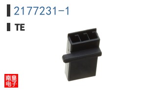2177231-1
