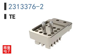 2313376-2