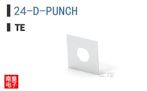 24-D-PUNCH
