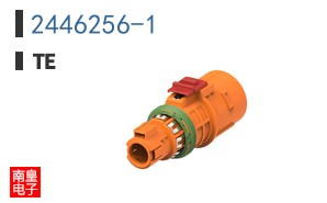 2446256-1
