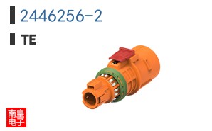 2446256-2
