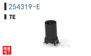 254319-E