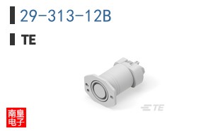 29-313-12B