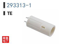 293313-1
