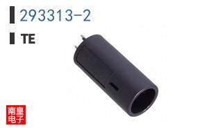 293313-2