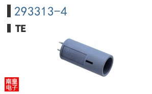 293313-4