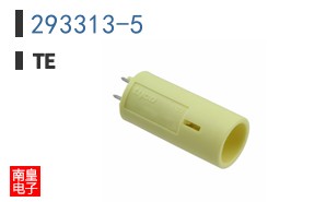 293313-5
