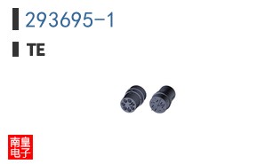 293695-1