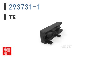 293731-1