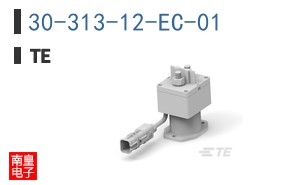 30-313-12-EC-01